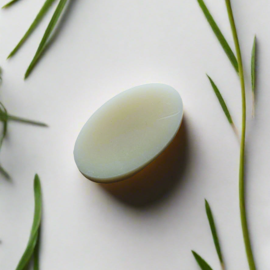 Scarlet Pimpernel Conditioner Bar