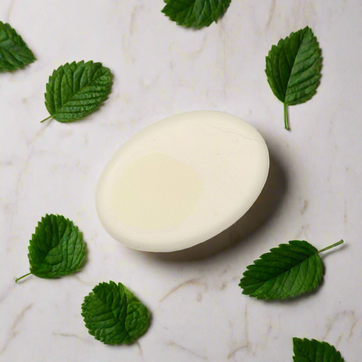 Herbalicious Conditioner Bar